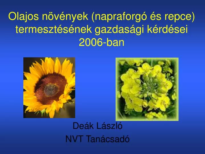 olajos n v nyek napraforg s repce termeszt s nek gazdas gi k rd sei 2006 ban