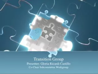 Transition Group Presenter: Gloria Ricardi Castillo Co-Chair Subcommittee Workgroup