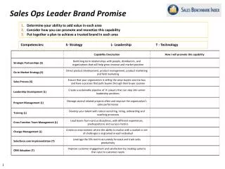 Sales Ops Leader Brand Promise