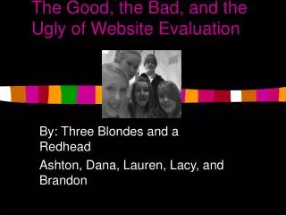 The Good, the Bad, and the Ugly of Website Evaluation