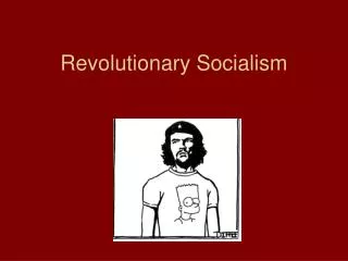 Revolutionary Socialism