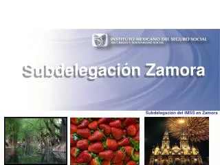 subdelegaci n del imss en zamora