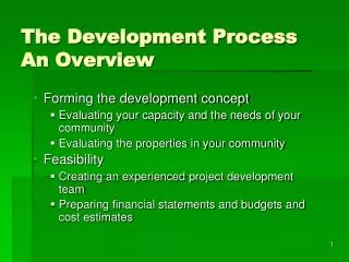 The Development Process An Overview