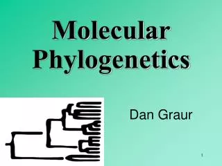 Molecular Phylogenetics