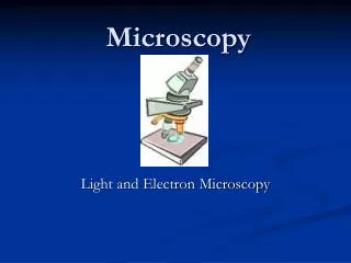 Microscopy