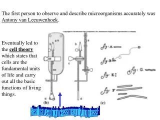 The first person to observe and describe microorganisms accurately was Antony van Leeuwenhoek .
