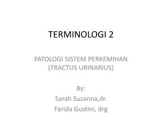 terminologi 2