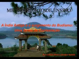 micro projeto de ensino