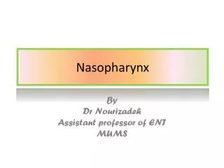 Nasopharynx