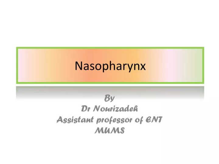 nasopharynx
