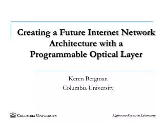 Creating a Future Internet Network Architecture with a Programmable Optical Layer