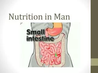 Nutrition in Man