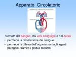 Apparato Circolatorio - slide 1