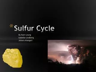 Sulfur Cycle