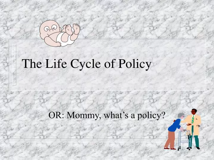 the life cycle of policy