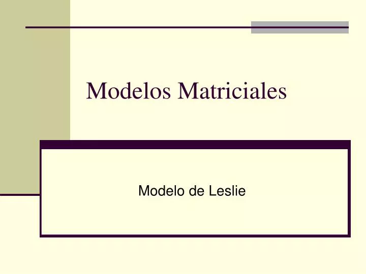 modelos matriciales