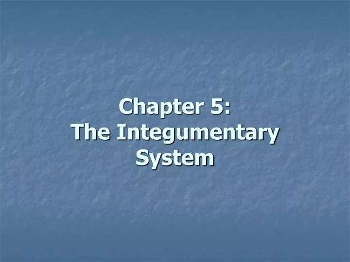chapter 5 the integumentary system