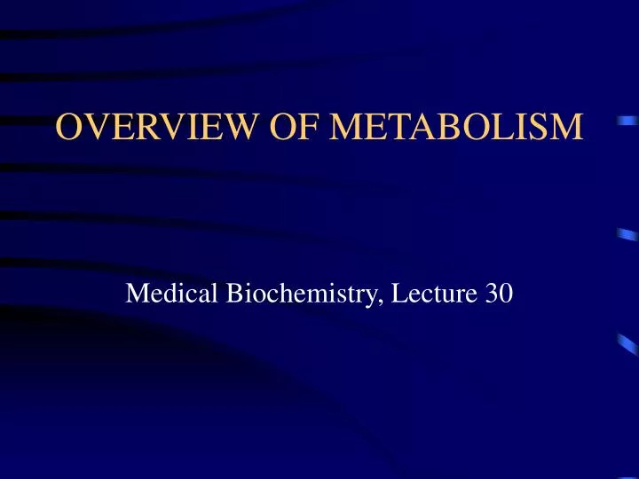 overview of metabolism