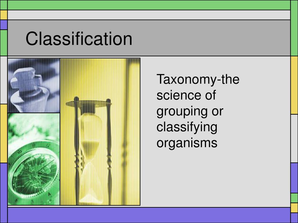 PPT - Exploring Taxonomy: History and Modern Classification Systems ...