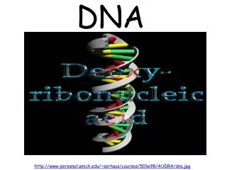 DNA