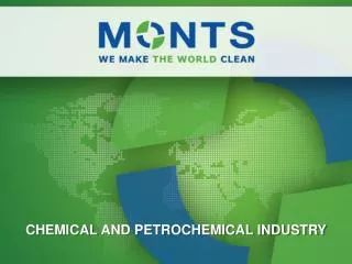 CHEMICAL AND PETROCHEMICAL INDUSTRY