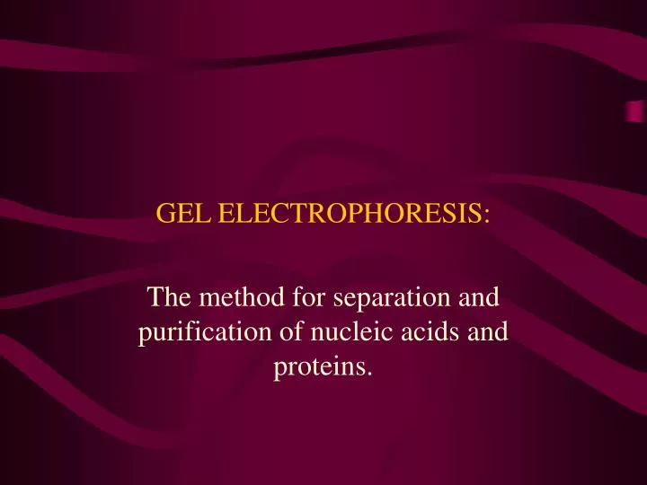gel electrophoresis