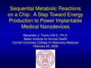 Sequential Metabolic Reactions on a Chip: A Step Toward Energy Production to Power Implantable Medical Nanodevices
