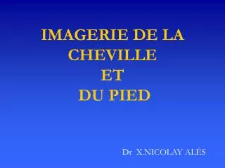 imagerie de la cheville et du pied