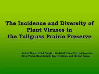 The Incidence and Diversity of Plant Viruses in the Tallgrass Prairie Preserve
