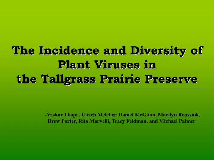 the incidence and diversity of plant viruses in the tallgrass prairie preserve