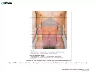Figure 66.1 Planes and regions of the abdomen. (Photograph by permission from Lumley JSP 2002 Surface Anatomy, 3rd edn.