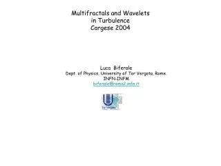 Multifractals and Wavelets in Turbulence Cargese 2004