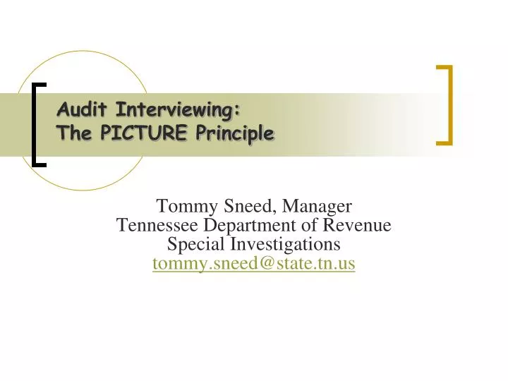 audit interviewing the picture principle