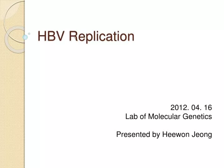 hbv replication