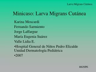 minicaso larva migrans cut nea