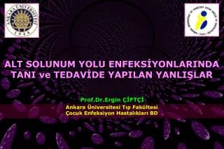 prof dr ergin ft