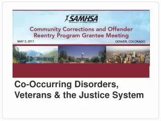 Co-Occurring Disorders, Veterans &amp; the Justice System