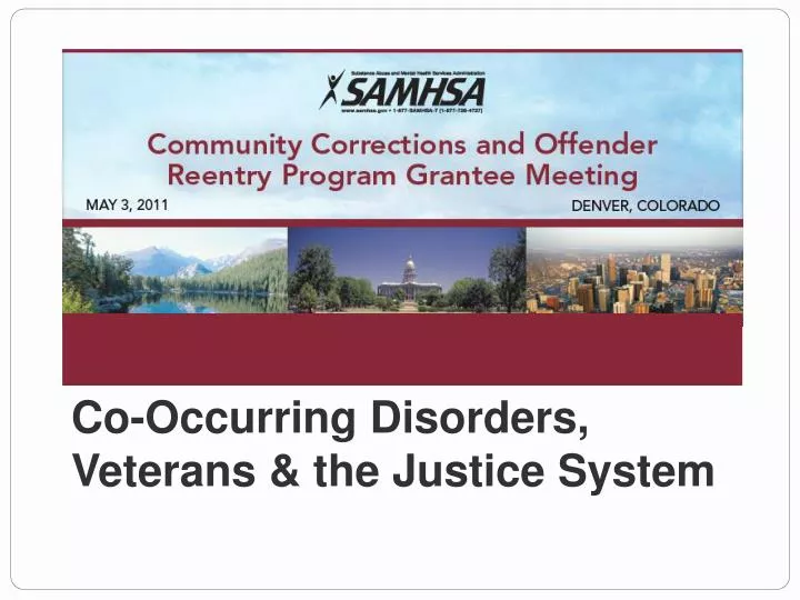 co occurring disorders veterans the justice system