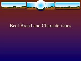 Beef Breed and Characteristics