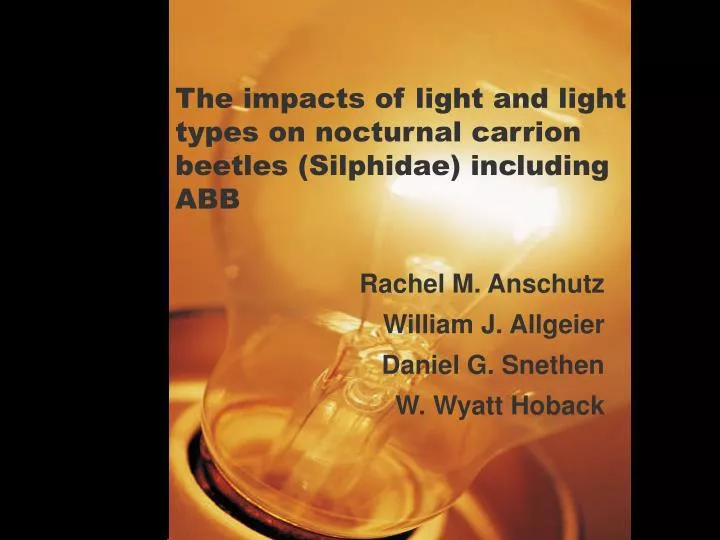 the impacts of light and light types on nocturnal carrion beetles silphidae including abb