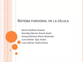 sistema funcional de la c lula