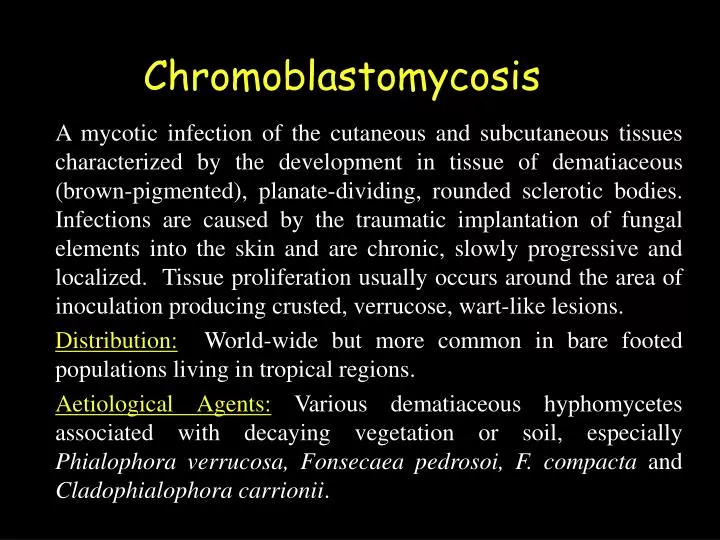 chromoblastomycosis