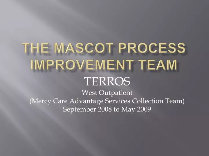 the mascot process improvement team