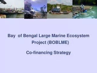 Bay of Bengal Large Marine Ecosystem Project (BOBLME) Co-financing Strategy