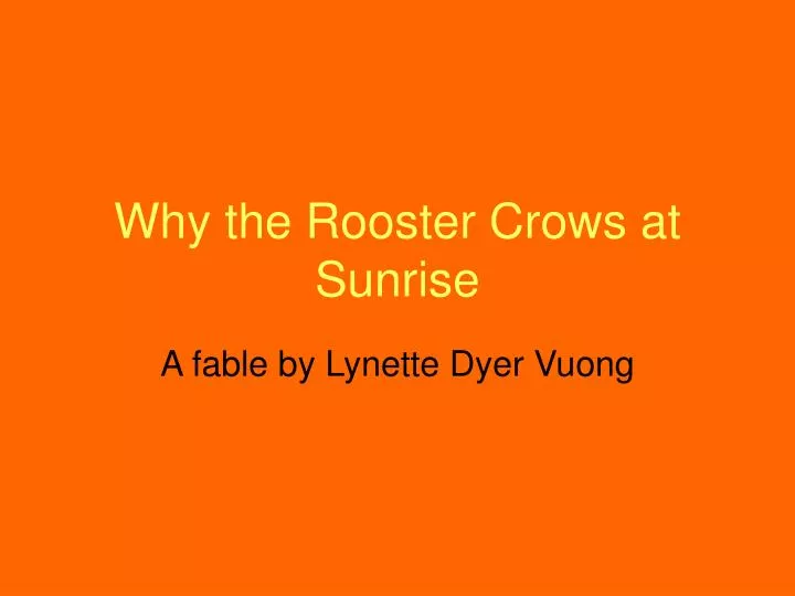 why the rooster crows at sunrise