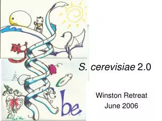S. cerevisiae 2.0