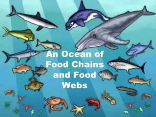 An Ocean of Food Chains and Food Webs