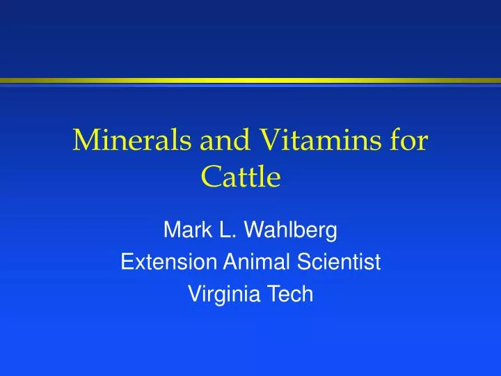 minerals and vitamins for cattle