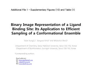 Binary Image Representation of a Ligand Binding Site: Its Application to Efficient Sampling of a Conformational Ensemble