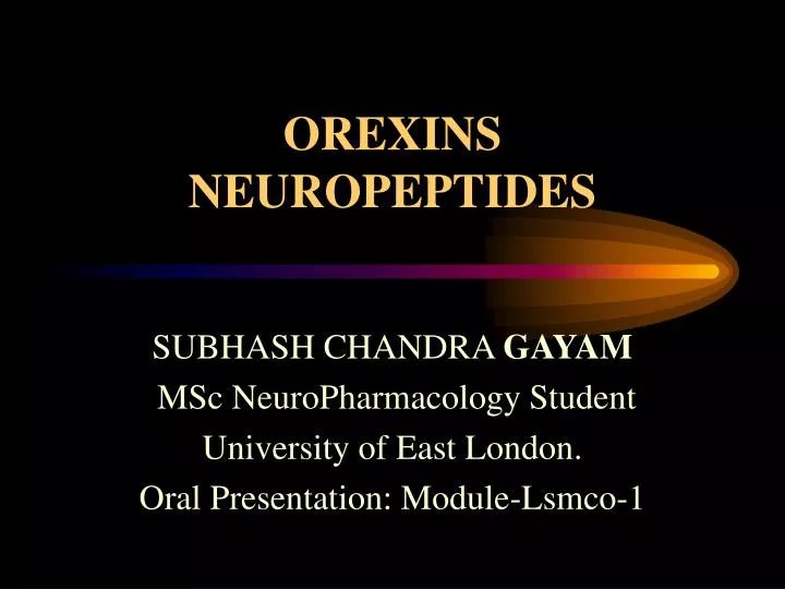 orexins neuropeptides
